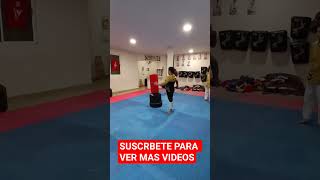 Taekwondo Soltura Combate Al Mono taekwondo elmeromero reels fyp viral viral tkd short