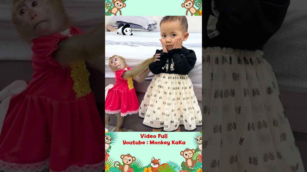 Monkey Hair Red wants to wear a beautiful dress like Diem look so cute