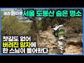 이렇게 멋진 곳이 왜 수년간 버려진 채 쓰레기로 가득 차 있었을까? 보는 순간 반해 들어온 스님의 암자 살리기┃꼭 가봐야 할 북한산 도봉산 명소┃도봉산 승락사┃한국기행┃#골라듄다큐