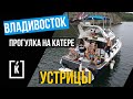 Прогулка на яхте. Владивосток. Живые устрицы.