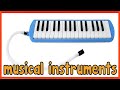 Musical Instruments Sounds for Kids | Learn the Voice, Tone, and Melody