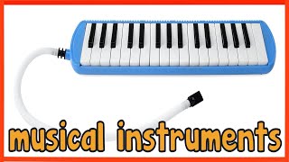 Musical Instruments Sounds For Kids Learn The Voice, Tone, And Melody