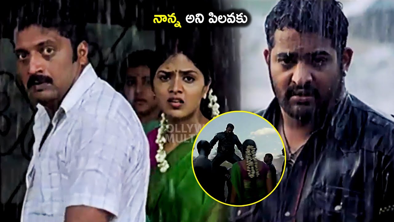 Jr Ntr Telugu Blockbuster Movie Powerful Entry Scene | Prakash Raj | Tollywood Multiplex