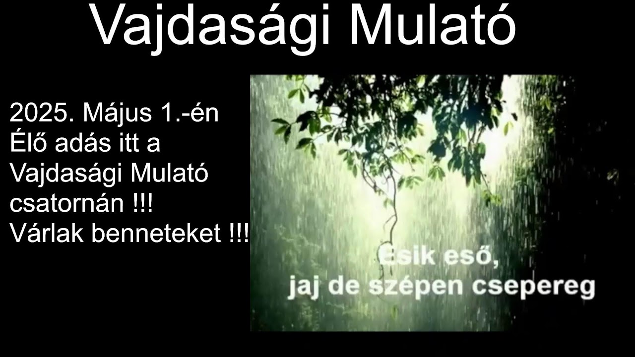 Vajdasági Mulató - Élő 2025.04.27.