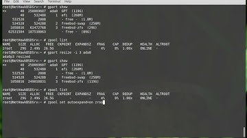 Resize (Extend/Grow) ZFS Partition on FreeBSD Server (#1)