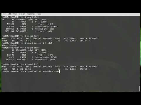 Resize (Extend/Grow) ZFS Partition on FreeBSD Server (#1)