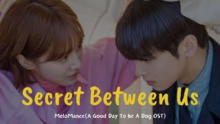 MeloMance (멜로망스)-The Secret Between Us, A Good Day to Be a Dog OST Part.3 [han/eng/rom] Lyrics