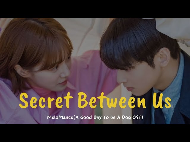 MeloMance (멜로망스)-The Secret Between Us, A Good Day to Be a Dog OST Part.3 [han/eng/rom] Lyrics class=
