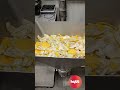 HYTT honingmeloen afval – honeydew waste – Honigmelonenabfall (vacuum transport system)