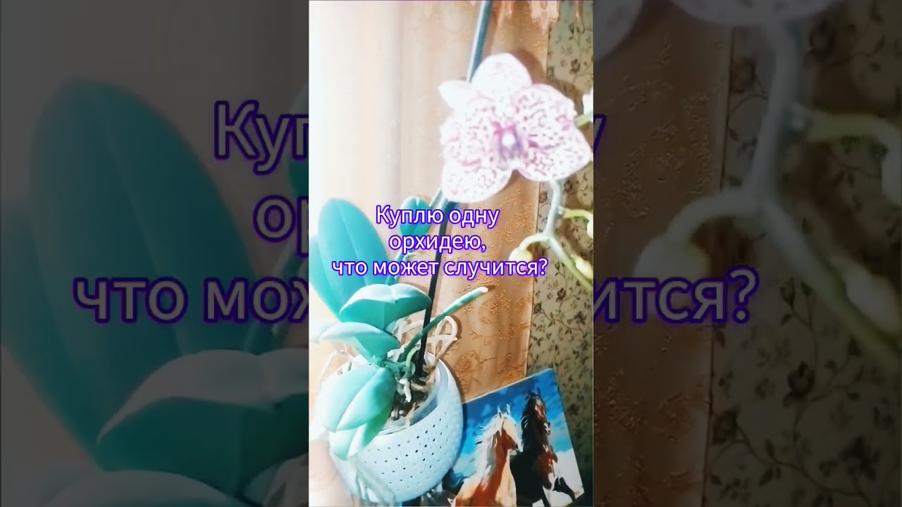 Что может случится? 