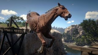 Horse Falls and Crashes | Euphoria Ragdolls | Red Dead Redemption 2 PC Mods→ pt.5