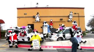 Chick fil A Harlem Shake video (14 Cows) Austin Westlake