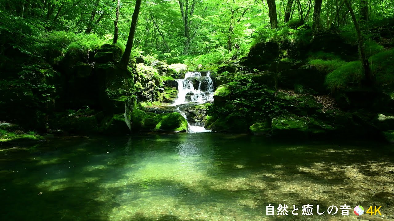 【自然の音】緑の季節と流れ落ちる滝の音、癒し、睡眠、リラックス、作業用BGM【1時間】 - YouTube