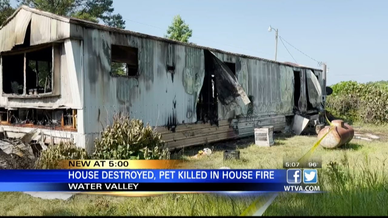 VIDEO: Water Valley house fire leaves family homeless, kills dog - YouTube