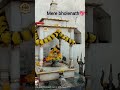 तेरी भक्ति में ओ भोले मोह मेरा सो गया भोलेनाथ पता नहीं तुझसे प्यार कब हो गया💖👍