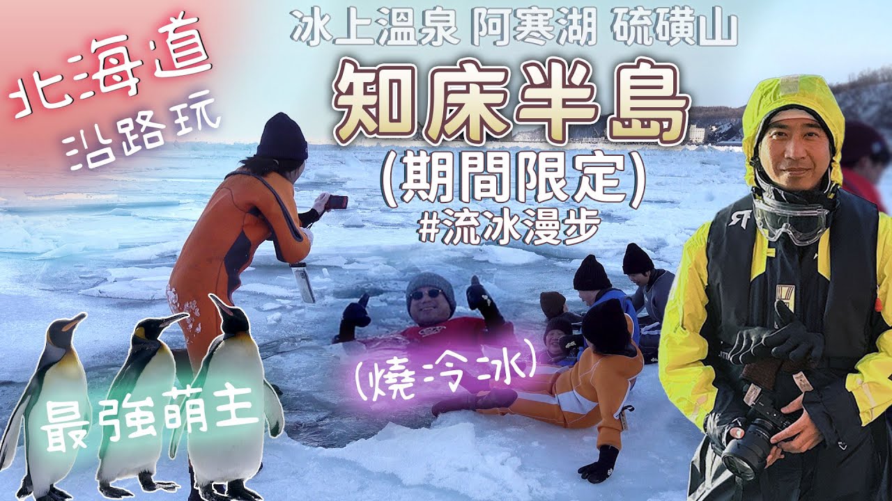 北海道 一路玩~知床半島(期間限定)流冰漫步~燒冷冰! 北海道Hokkaido｜知床半島Shiretoko｜企鵝penguin｜阿寒湖KAMUY LUMINA｜日本旅遊Japan Travel
