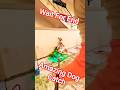 Gojo Jumping Dog Miss Catch #streetdogrevival #youtubeshorts #ytviral #dog #animals