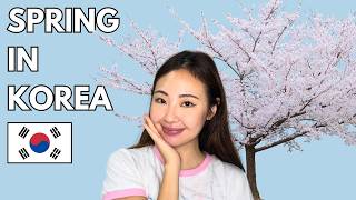 Planning a Spring Trip to Korea Learn These Key Words!
