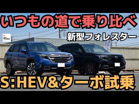 VSR-oneとForester 1-5×24 VSR-oneとForester 1-5×24 レビュー】TAC Vector Optics