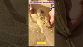 Normal Skill vs Master of Making Sandcastles 😱🔥 #shorts