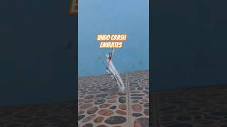 Download Lagu #undo #Emirates #airplane #toy #crash #kincana #viral MP3