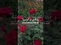 اكتب شيئ تؤجر عليه قران كريم راحه نفسيه