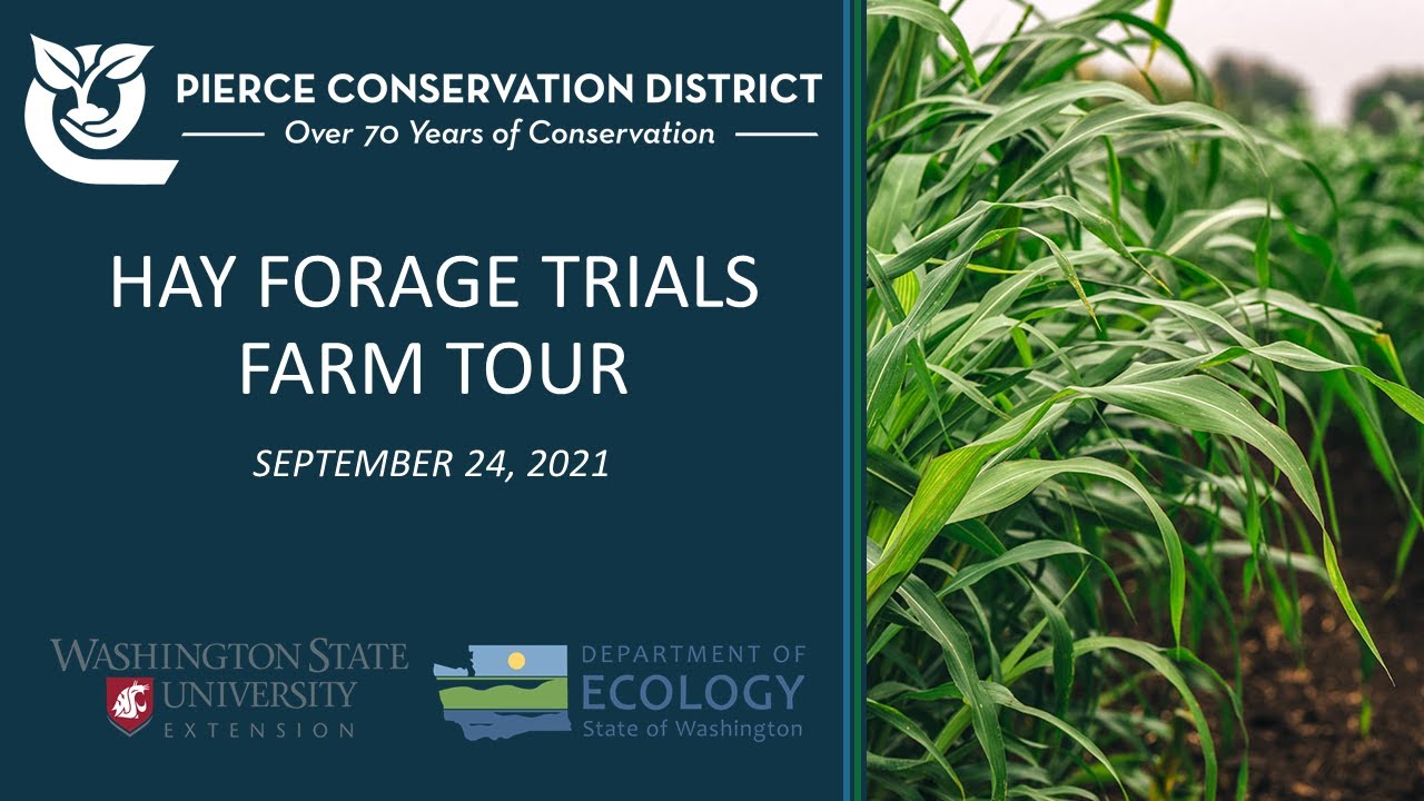 Hay Forage Trials Field Day YouTube