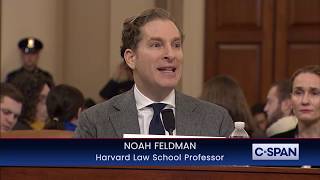 Noah Feldman Opening Statement
