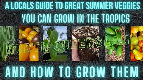 Great Summer Vegetables you can grow in the Tropics & How to grow them: a Local's guide