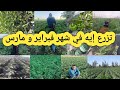 نزرع إيه في شهر فبراير وشهر مارس و أفضل مشروع زراعي يحقق أرباح عالية في فترة قصيرة 