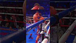 tank davis vs jose pedraza highlight boxing #boxing #boxinghighlights #tankdavis #gervontadavis