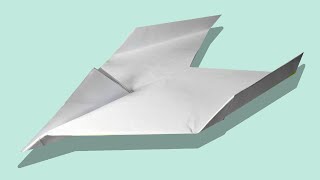 paper airplane far flies bird