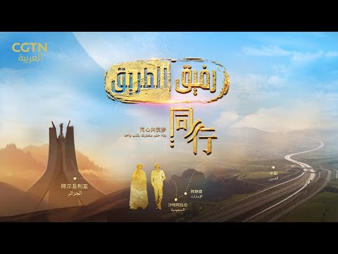 رفيق الطريق بناء حلم مشترك بقلب واحد