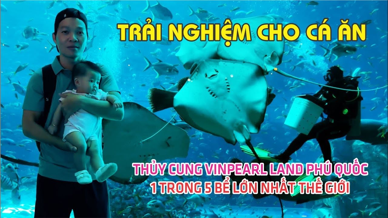 MỘT ĐẠI DƯƠNG BÊN TRONG BỤNG RÙA KHỔNG LỒ - NGẮM THỦY CUNG VÀ TRẢI ...