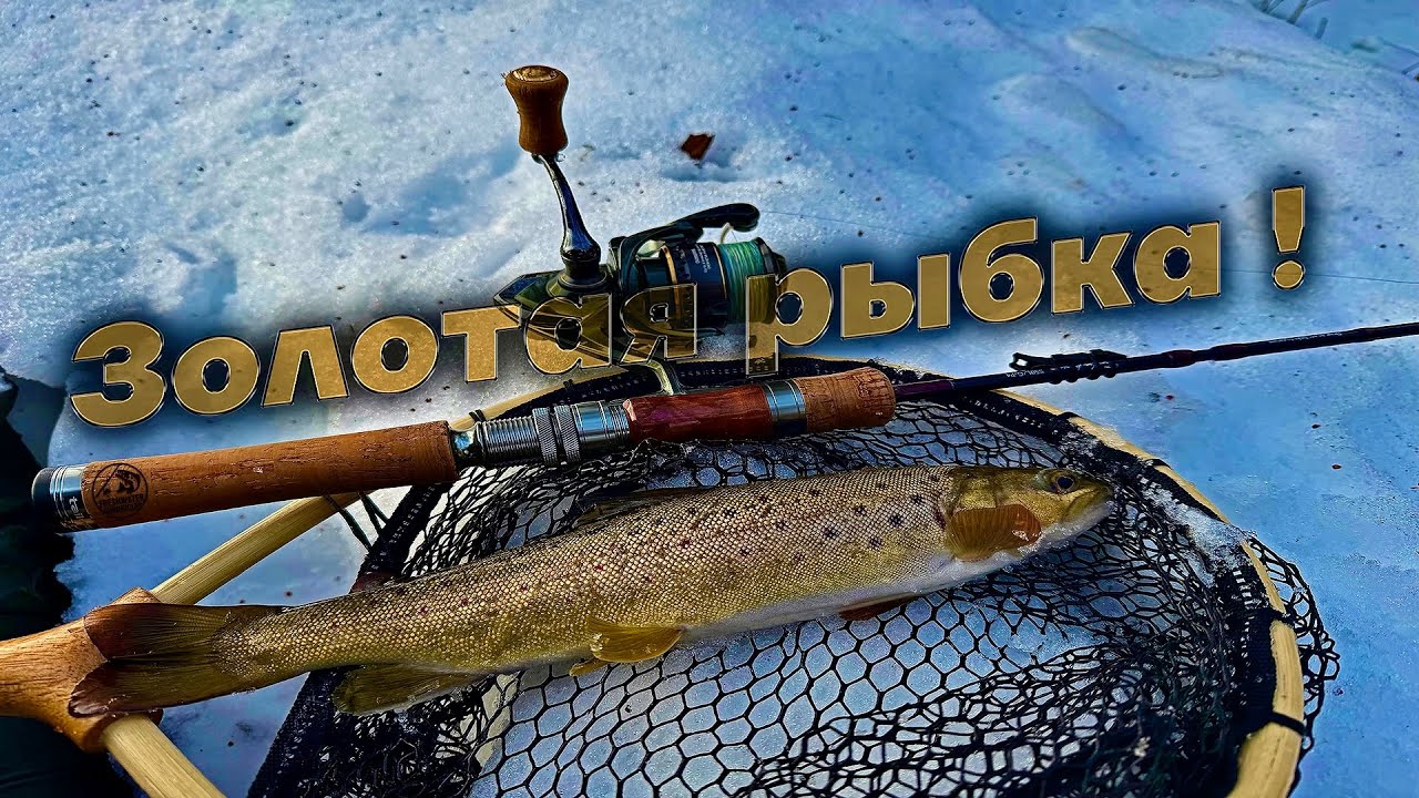 ОТКРЫТИЕ ВЕСЕННЕГО СПИННИНГА! | Конкурентная рыбалка увенчалась успехом на все 100% #рыбалка #форель