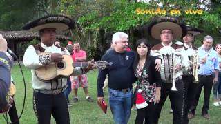 Video thumbnail of "TE AMARÉ TODA LA VIDA - MARIACHI ASES DE MEXICO MEDELLIN"