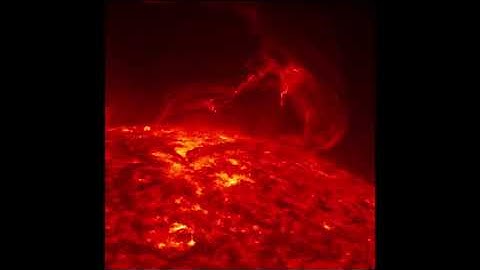 Moog Matriarch + ASM Hydrasynth - XU.Soundesign "Freehna"