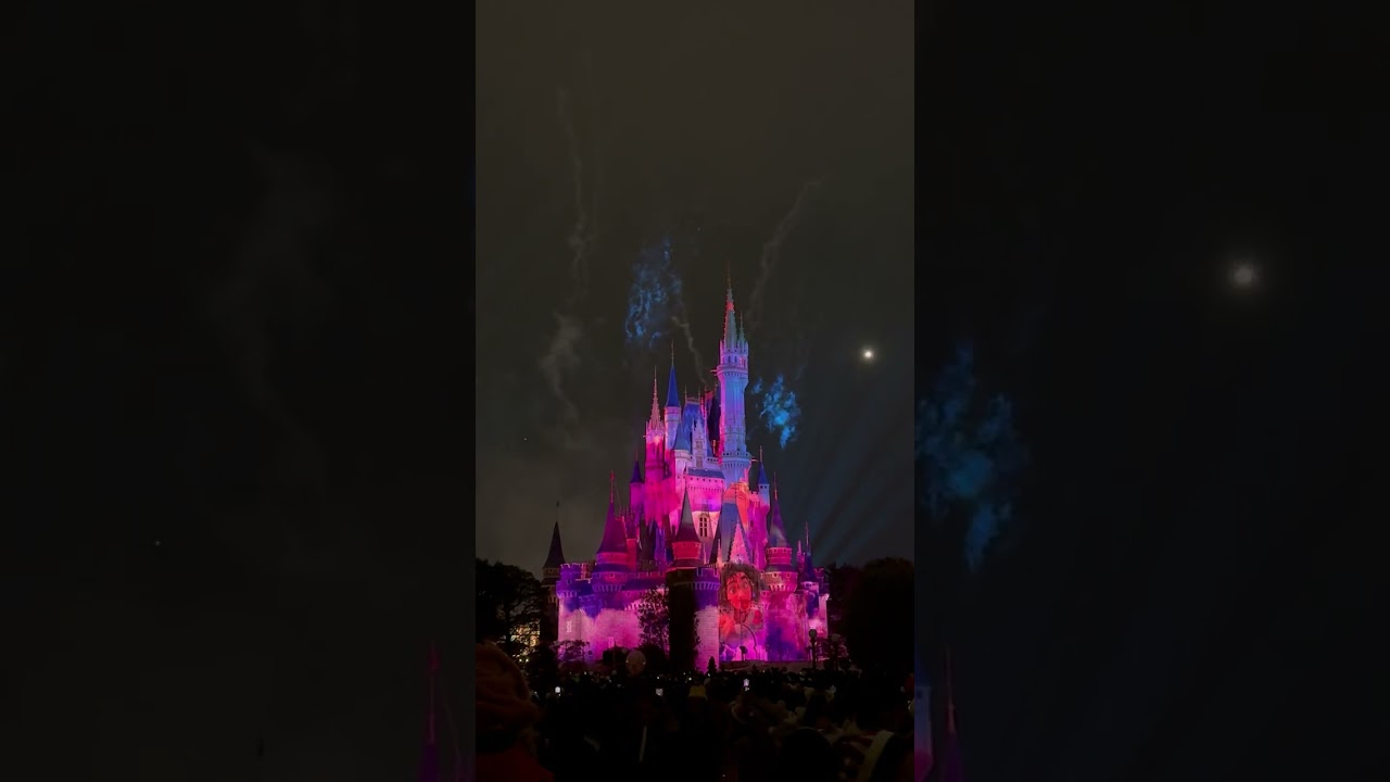 Disney land light show 