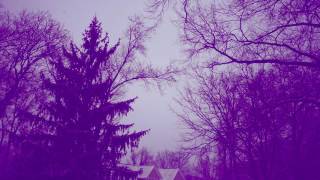 Circulation -  Purple (Igor Krsmanovic Remix)