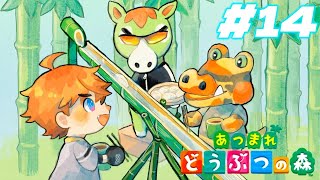 北見遊征の配信のサムネイル画像