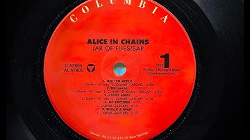 NUTSHELL (1994) - Alice in Chains