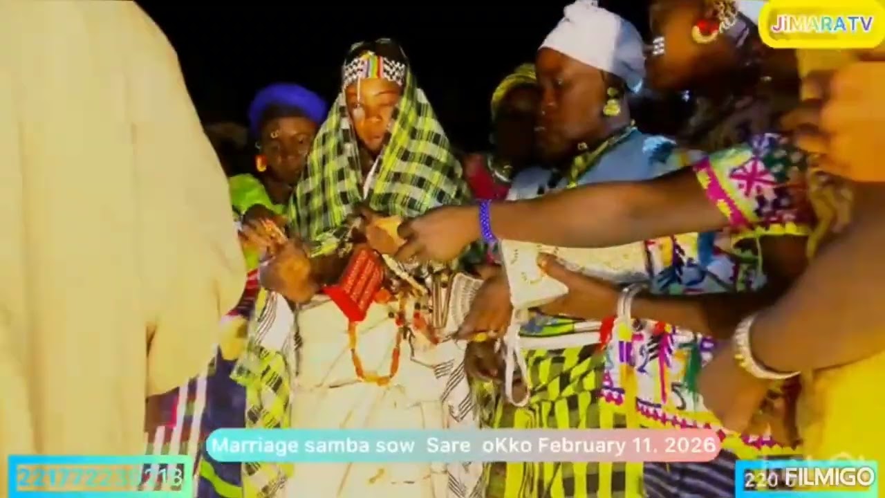 24 فبراير 2026