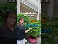 Chương trình học bổng mà HSSV nào cũng phải biết!