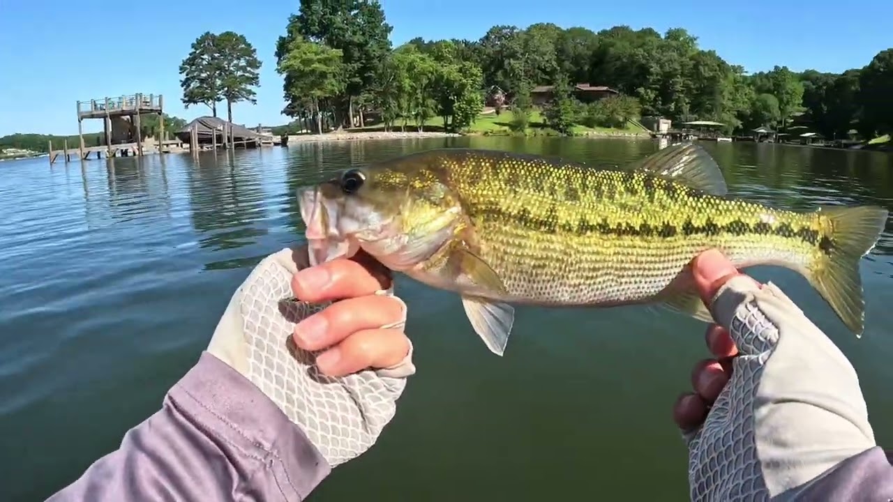 Exploring New Areas Lake Norman BASS FISHING On The Kayak