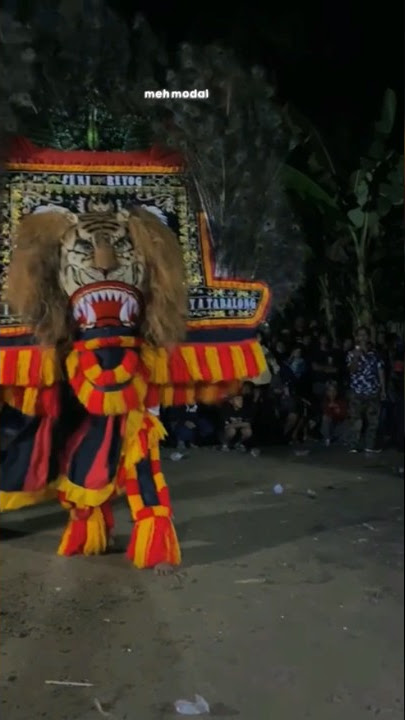 STORY REOG ‼️ AKU CAH BAKOH #fypシ #stj #reog #fyp