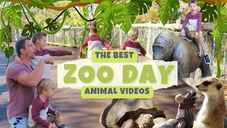 The Roshek Family Pet Wild Zoo Animals!  KIDS LEARN/GORILLAS/PIGS/ELEPHANTS/TOYS