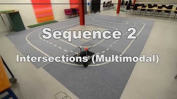 Biologically Inspired Online Learning of Visual Autonomous Driving