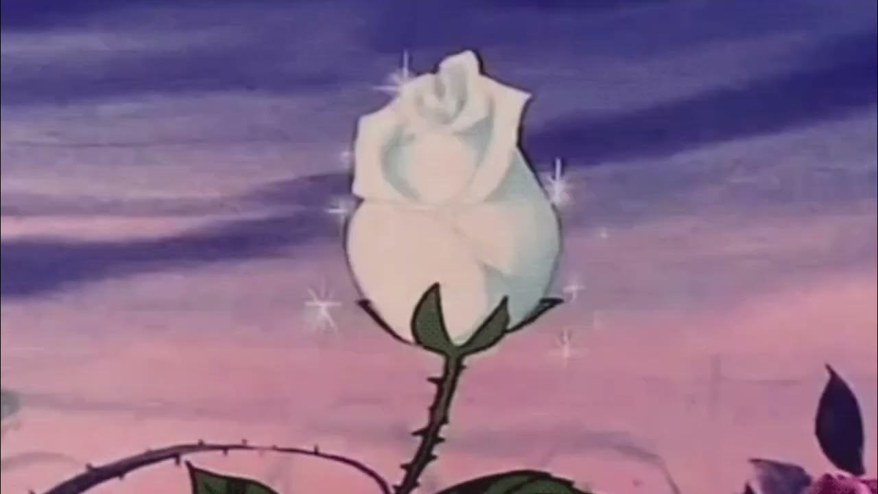 Upside Down Paloma Faith (Slowed + Reverb) YouTube