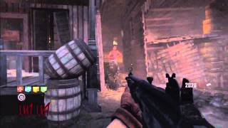 Black Ops 2 Glitches - Derpy Leroy & Flying Zombie Tutorial on Buried