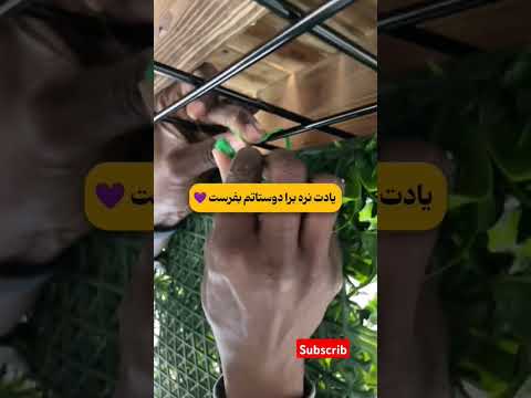 دیزاین خلاقانه تراس مختص بهار اگه دکوراسیون دوس داری حتما سابسکرایب کن چیدمان ترفند  تراس